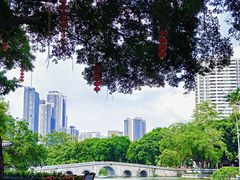 -荔湾湖公园