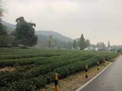 -北高峰