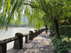 -运河游船(武林门码头)