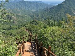 -大岭沟猕猴桃谷风景区