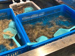 水产区-盒马鲜生(首义店)