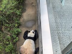 -沈阳森林动物园