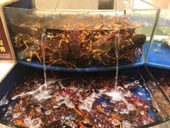 -海景壹号大酒店(滨湖店)