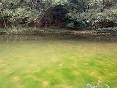 -湖洞水自然风景区