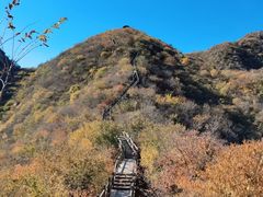 -大岭沟猕猴桃谷风景区