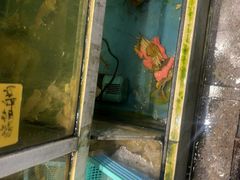 -鑫悦楼煎蟹·16年海鲜大排档