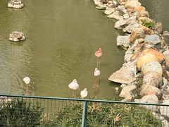 -石排湾郊野公园