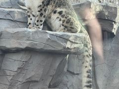 -青藏高原野生动物园