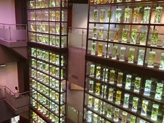 -广东中医药博物馆