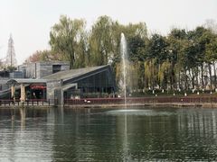 -成飞公园