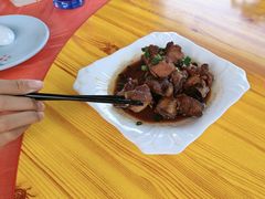 -百丈农家