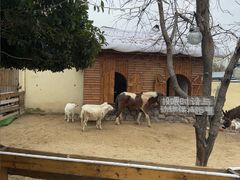 -HERRE·FARM 赫尔露营农场·团建聚会包场