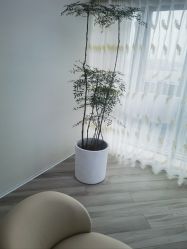 -HEYAN荷妍专业脱毛连锁机构