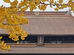 -苏州文庙(姑苏区)