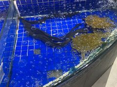 -余记海鲜(合生广场店)