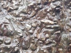 -乐山乌木文化博览苑