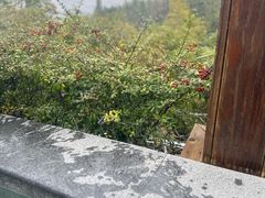 -溧阳天目湖天沐温泉