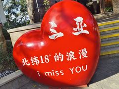 -三亚亚龙湾人间天堂鸟巢度假村