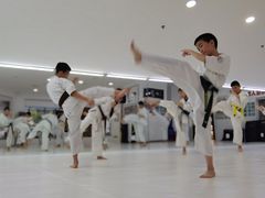 -极真空手道修远道场