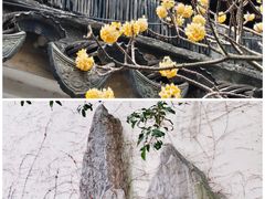-常熟方塔园