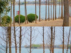 -北龙湖湿地公园