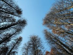 -森波拉奇妙世界