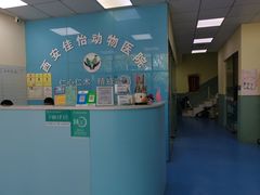 -佳怡动物医院·平价24小时·猫专科骨外科