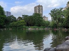 -新虹桥中心花园