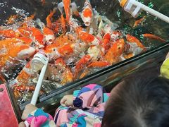 -太平洋海底世界