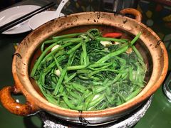 啫啫空心菜-煲煲好(朝阳门店)