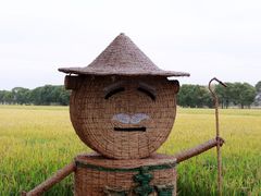 -嘉北郊野公园