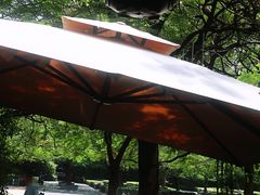 -缘生态云南菜·野生菌庭院餐厅(华侨城店)