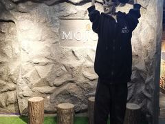 -MOJO密室逃脱(中街旗舰店)