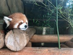 -东部华侨城