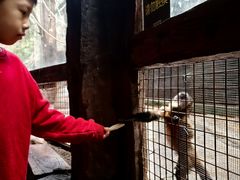 -长鹿旅游休博园
