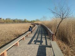 -绿堤公园