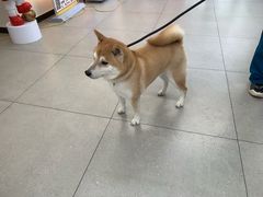 -全心全意动物诊疗中心医院(北苑店)