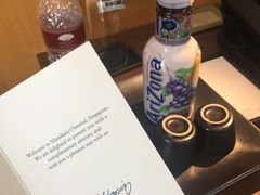 -新加坡文华东方酒店