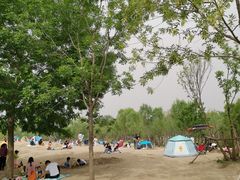 -东郊湿地公园