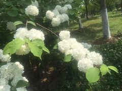 -白塘生态植物园