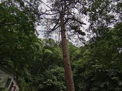 -北京上方山国家森林公园