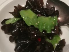 -悦海堂(金融街购物中心店)