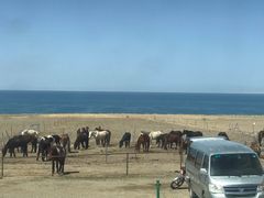 -青海湖国家重点风景名胜区