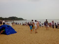 -野狸岛
