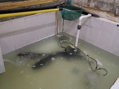 -魏铭鱼头捞饭(晋阳路店)