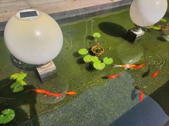 -广州白云国际机场漫心酒店