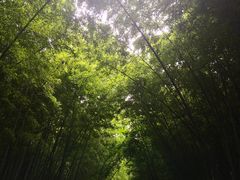 -穹窿山景区