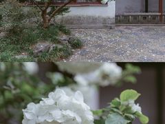 -沧浪亭