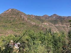 -幽岚山·童话森林