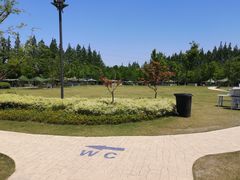 -上海长兴岛郊野公园